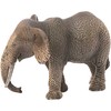 Schleich Afrikinio dramblio patelė