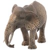 Schleich Afrikinio dramblio patelė