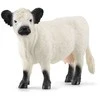SCHLEICH FARM WORLD Galloway veislės karvė