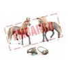 SCHLEICH HORSE CLUB Horse Club Pradinis Rinkinys