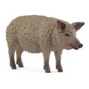 Collecta SCHLEICH FARM WORLD Vengrų Mangalica veislės kiaulė
