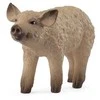 Collecta SCHLEICH FARM WORLD Vengrų Mangalica veislės paršelis