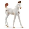 Collecta Schleich Źrebak Marwari