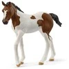 Collecta SCHLEICH HORSE CLUB Paintų veislės kumeliukas