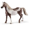 Schleich figūrėlė Amerikos paintas