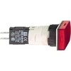 Schneider Electric 16mm raudona 24V kintamos / nuolatinės srovės signalinė lemputė (XB6DV4BB)