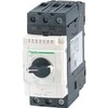 Schneider Electric „Schneider“ variklio grandinės pertraukiklis 3P 30kW 65A EVK (GV3L65)
