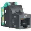 Schneider Electric Renova kompiuterinio lizdo RJ45 modulis UTP Cat5E