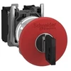 Schneider Electric saugos mygtukas 22 mm 1NO 1R IP66 raktas (XB4BS9445)