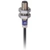 „Schneider Electric“ indukcinis jutiklis M8 2,5 mm 12–48 V DC NPN 1Z kabelis 2 m (XS608B1PAL2)
