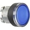 Schneider Electric ZB4BW3637 Frontelement flach blau f.Leuchtdruckt. LED D22 o.Rastung