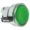 Schneider Electric ZB4, mygtukas, žalias, universalus LED, IP66, IK06, I klasė
