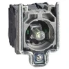 Schneider Electric ZB4, Kontaktorius, Baltas, 74 g, 70 g, 35 mm, 55 mm