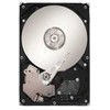Seagate DB35 serijos DB35 7200.3 250 GB SATA 3 Gb/s, 250 GB, 7200 aps./min., 8 MB, 3,5 colio, serijinis ATA II