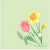 Servetėlės Bio Dunisoft Spring Melody I 40xP 40 cm, žiedynų formos, 60 vnt./pak.