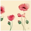 Servetėlė Duni 40x40 cm 3 sluoksnių Aguonų žavesys, 250 vnt./pak