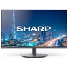 Monitorius Sharp NEC Multisync DD-E244FL