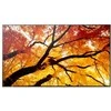 Monitorius Sharp M432 43IN LFD UHD D-LED – 550CD/QM SDM CM 24/7