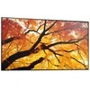 Monitorius Sharp M432 43IN LFD UHD D-LED – 550CD/QM SDM CM 24/7