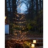 Kalėdinės lemputės Philips Sirius Home Isaac, šviesos dekoracijos figūrėlė, ruda, 228 lemputės, LED, 6 W, DC