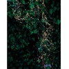 Lampki choinkowe Multimix.pl Sirius Home Knirke, Light decoration chain, Žalias, Transparent, Ambience, Žalias, 500 bulb(s), LED