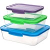Sistema Pojemniki Nest it 3 Pack TRI (59153)