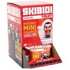 Figūrėlė Spin Master Skibidi Toilet Mini Mystery Figures 2 Ass CDU