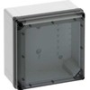 SPELSBERG Kasse Geos-L 3030-18-TO, 300 x 300 x 180 mm, permatoma