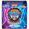 Spin Master „Paw Patrol“ filmo 2 mini būrio šuniukų figūrėlės