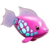 Swims Plaukimai – Rainbow Reef Fish – Rainbow Fish (6072523)