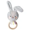 Taf Toys žaislinis žaislas Rylee Bunny