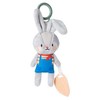 Taf Toys lavinamasis žaislas Rylee the Bunny