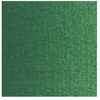 Talens Van Gogh Oil Colour Tube Permanent Žalias Deep 619