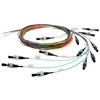 Telegärtner 100011719, 2 m, OS2, 12x LC