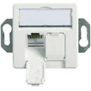 Telegärtner 100022957, 2 x RJ-45, 6a, Balta, Cinkas, 1 vnt.