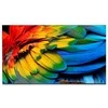 Philips 58HFL6214U/12 Televizorius 147,3 cm (58") 4K Ultra HD Wi-Fi Antracyt 400 cd/m2