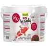 Tetra - Koi Beauty Small 10L