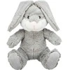 Trixie Be Eco* Hase Evan, Šuo, Pliušinis žaislas, Pilkas, Pliušinis, 250 mm