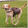 Trixie 28831, Soft pet carrier, Backpack pet carrier, Dog, 7kg, Top & front load, rusvai gelsvas