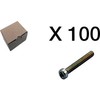 CUBIC Cilindrinis varžtas, torx, plokščia galvute, 100 vnt. pakuotėje