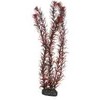 HOBBY Aquaristik HOBBY Eusteralis 39cm plastikinė augalija
