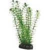 Hobby Aquaristik Lagarosifonas 20 cm plastikinis