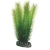HOBBY Aquaristik Mayaca 16 cm plastikas HOBBY