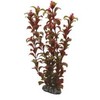 HOBBY Dirbtinė akvariumo augalų dekoracija „Rotala“, 30 cm