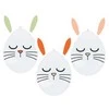 Riethmuller Europe Velykų zuikučio balionų rinkinys, 3 dalys, 12 colių (30 cm)