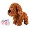 Lovely Pets Interaktyvus RC šuo Teddy 2.4G ? Ruda