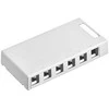Leviton Brand Rex Leviton 41089-6WP, RJ-45, baltas, 166,4 mm, 82,5 mm, 27,7 mm