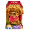Sandy Happy Pets Šuniukas pasivaikščiojimui – kokapū
