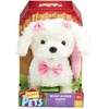 Sandy Happy Pets Šuniukas pasivaikščiojimas - pudelis