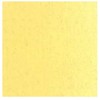 Talens Van Gogh Aliejiniai dažai 40ml 222 Naples Geltona Light